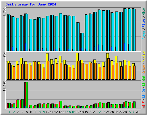 Daily usage for June 2024