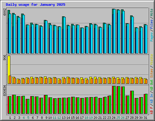 Daily usage for January 2025