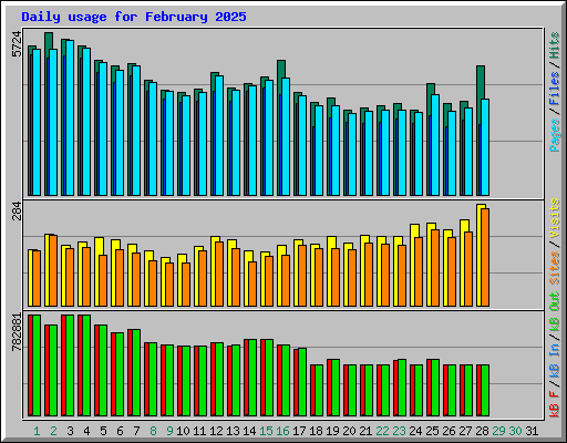 Daily usage for February 2025