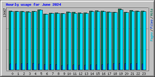 Hourly usage for June 2024