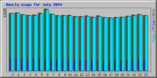 Hourly usage for July 2024