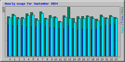 Hourly usage for September 2024
