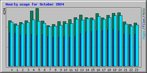 Hourly usage for October 2024