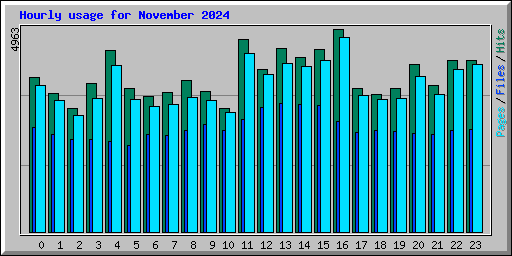 Hourly usage for November 2024