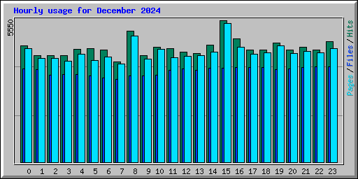 Hourly usage for December 2024