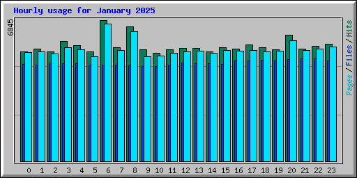 Hourly usage for January 2025