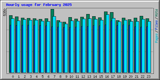 Hourly usage for February 2025