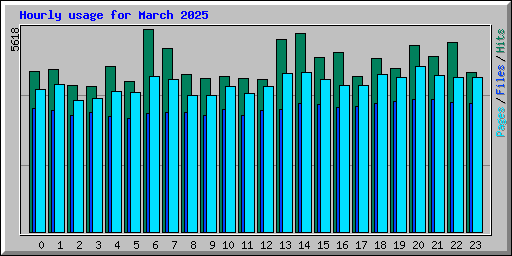 Hourly usage for March 2025