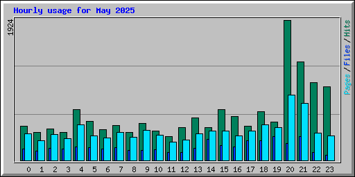 Hourly usage for May 2025