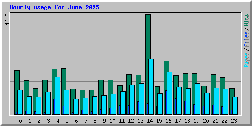 Hourly usage for June 2025